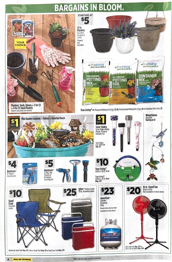 Dollar General Ad Scan April 14, 2024-April 20, 2024