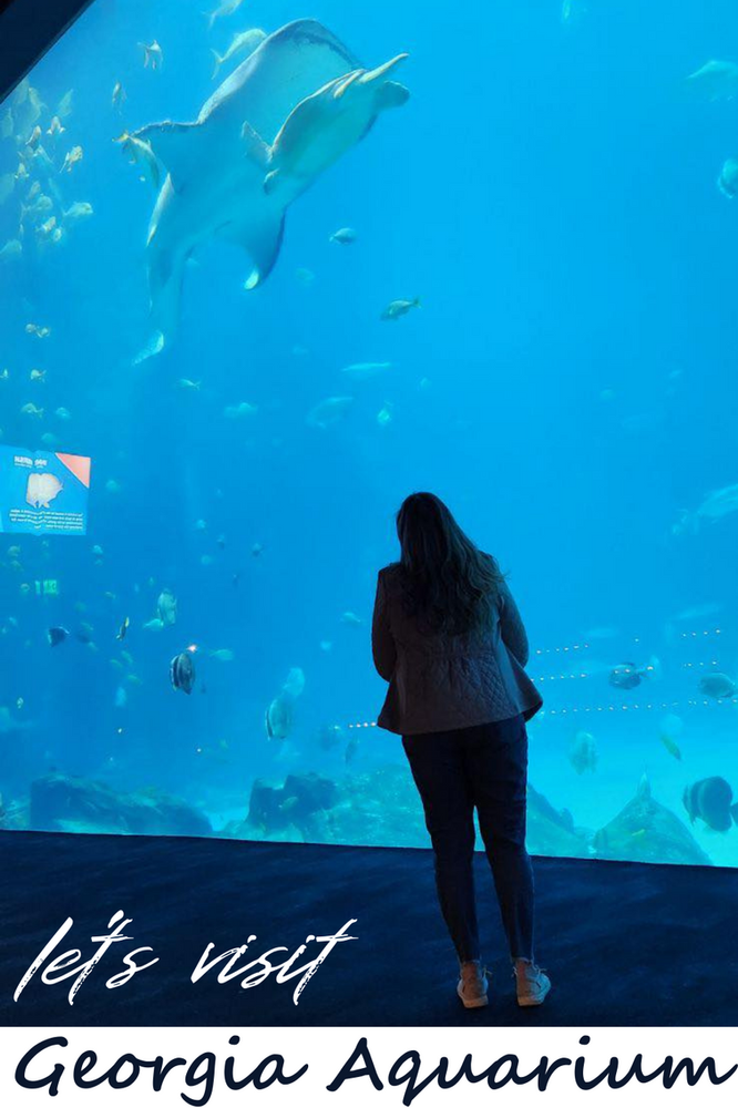 Visit the Georgia Aquarium