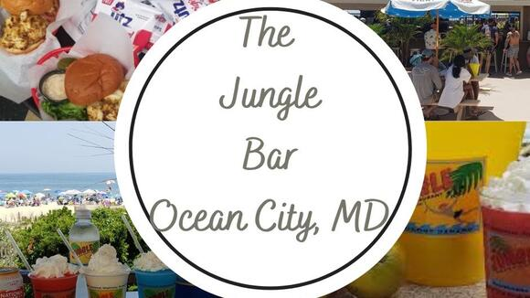 Ocean City Maryland The Jungle Bar